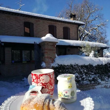 Il Castagneto Bed & Breakfast Camerino Ngoại thất bức ảnh