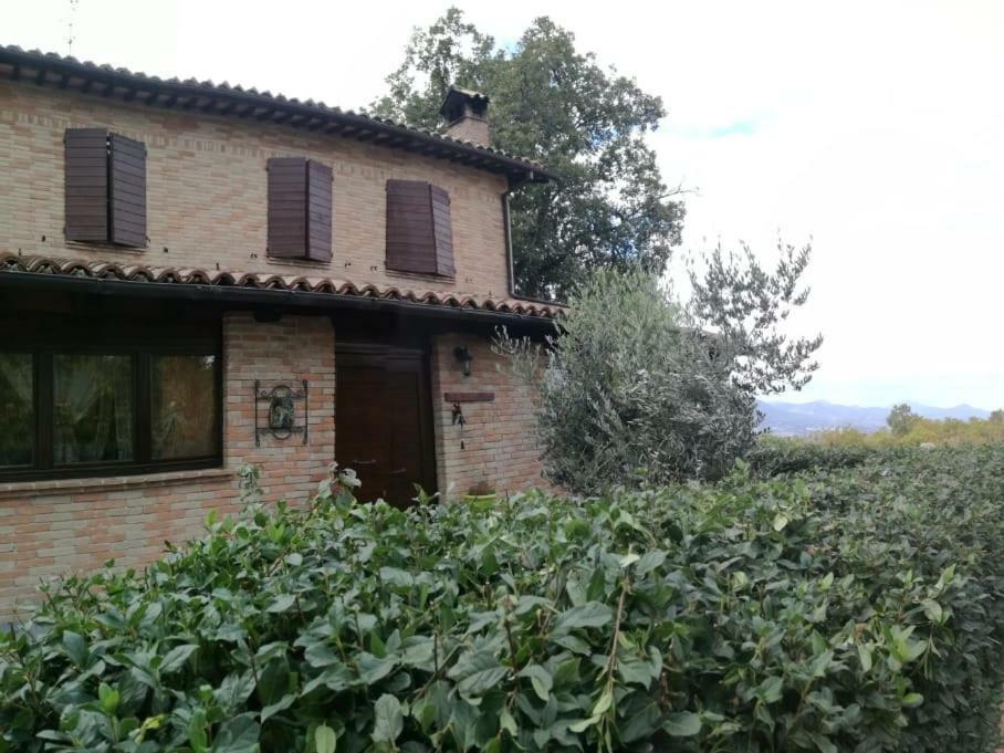 Il Castagneto Bed & Breakfast Camerino Ngoại thất bức ảnh